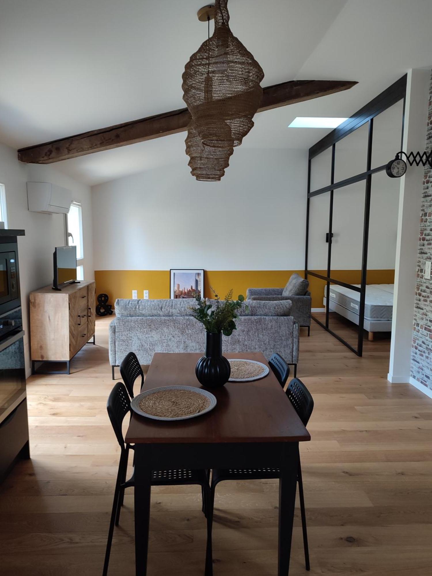 Le Petit 1881 Appartement Ampuis Buitenkant foto